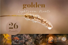 26个秋季微距风光金色调Lightroom预设 Golden Lightroom Presets