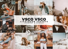 Ins风VSCO手机版滤镜人像色调VSCO Lightroom预设 VSCO Lightroom Presets