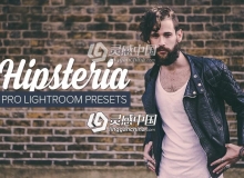 复古时髦Lightroom预设 Hipster Lightroom Presets