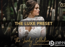 艺术婚礼专业Lightroom预设 Fine Art Wedding Pro Lightroom Preset