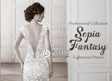 深褐色调复古婚礼人像Lightroom预设 Sepia Lightroom Presets