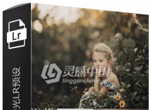 家庭儿童欢乐时光LR预设+手机APP移动LR预设 HAPPY HOUR COLLECTION