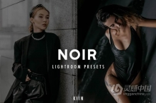 LR预设 黑暗柔光情绪人像Lightroom预设/移动APP预设 MOODY NOIR LIGHTROOM Presets