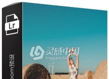 时尚人像Lightroom预设 Sorelleamore Lightroom Master Preset - Hipster AF