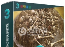 3dsMax骨架物理坠落动画视频教程