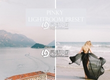 粉色电影胶片lightroom预设 Pinky film lightroom preset