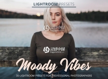 旅拍通透明亮喜怒无常氛围胶片LR预设 Moody Vibes Presets
