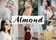 通透棕色温暖人像Lightroom预设/移动APP预设Almond Lightroom Presets