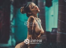 俄罗斯 Dan Hecho人体私房文艺复兴胶片油画风格Lightroom预设