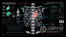 人体HUD元素生命体征健身医疗用户界面AE模板下载 HUD700 Screen MEDICAL3
