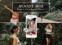 田园森系效果手机版LR预设 Mobile Lightroom Preset MOODY MOI