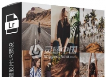 旅拍人像巧克力色主题胶片Lightroom预设+移动手机版lr预设