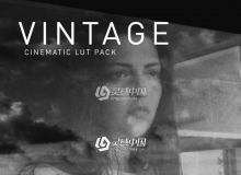 复古质感黑白电影胶片LUT预设 NoamKroll - Cinematic LUTs: Vintage