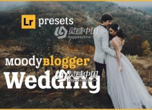 婚礼人像Lightroom预设Hydrozi Moody Wedding - Blogger Lightroom & ACR