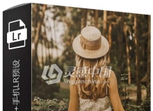 旅拍焦糖人像LR预设+手机LR预设 Jungle Presets – Caramel Collection