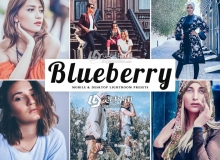 INS流行蓝莓色调人像LR预设/移动APP预设 Blueberry Lightroom Presets