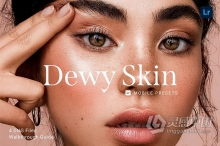 人像美容修饰手机版APP滤镜ins人像美肤LR预设Lightroom Presets DEWY SKIN