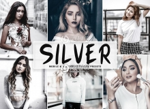 精品中性灰色系人像后期LR预设/APP预设 Silver Lightroom Presets
