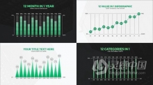 PR模板-12 Value Infographic Charts信息图表报告制作动画PR模板下载
