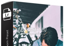 电影胶片Lightroom预设 Rizzle Dizzle Lightroom Preset