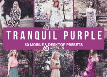时尚紫色调人像LR预设+3DLUT预设 Tranquil Purple Lightroom Presets