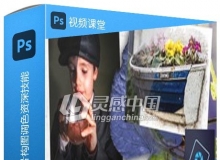 Photoshop Elements照片构图调色资深技能训练视频教程