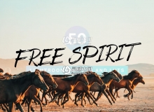 城市旅拍复古电影胶片LR预设+LUT预设  Free Spirit Lightroom Presets
