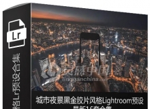 75美金的城市夜景黑金胶片风格Lightroom预设预设16套