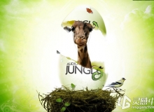 AudioJungle音效第二辑 AudioJungle Bundle 2014 vol. 2