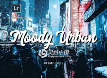 城市街头摄影Lightroom预设 MOODY URBAN Edition Lightroom