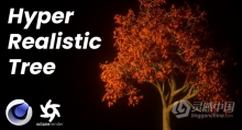 C4D与Octane逼真自然树场景实例制作视频教程 How to make an Easy Realistic Nature Tree Scene in Cin