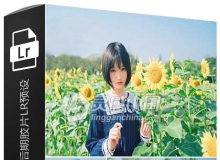 摄影师Aaronsky向日葵日系小清新人像后期胶片LR预设