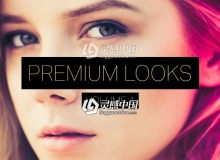 23组时尚人像摄影Lightroom预设 23 Premium Lightroom Presets Vol 1
