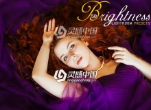 干净明亮色调时尚人像Lightroom预设50 Brightness Lightromm Presets