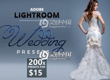 200个专业婚礼婚纱摄影Lightroom预设200 Lightroom Wedding Presets