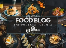 INS风网红美食博客明亮胶片移动版LR预设 Lightroom预设