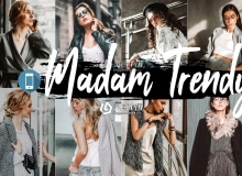 经典INS时尚人像LR预设/移动APP预设 Madam Trendy Lightroom Presets