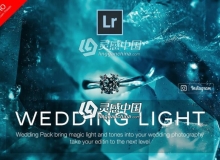 低保和婚礼电影胶片Lightroom预设 Wedding Lightroom Presets