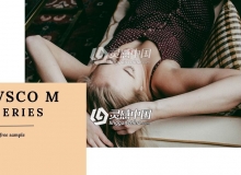 VSCO“M”系列LR预设 VSCO M series Lightroom presets