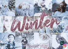 冬季摄影LR预设+移动APP预设  Winter Lightroom Presets Mobile