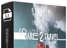 旅行运动调色LR预设+LR移动预设DYNAPIX Dare 2 Travel Lightroom Presets