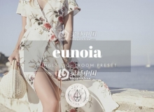 哑光完美预设Lightroom预设+ACR预设 Eunoia - Lightroom Preset