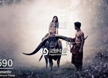 590复古浪漫Lightroom预设 590 Romantic Lightroom Presets