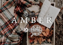 低保和旅拍琥珀色Lightroom预设+手机版lr预设 AMBER Moody Fall LR