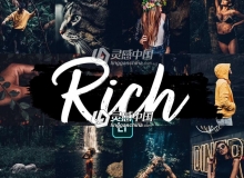 INS风格网红旅拍森系胶片人像Lightroom预设+手机版预设RICH LR