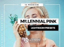 网红博客人像Lightroom预设+手机lr预设 Bloggers Lightroom CC App Presets