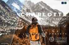 LR预设 旅行街拍温暖胶片Lightroom预设与手机版APP预设 Charlotte Lightroom Preset
