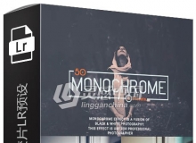 50个单色电影胶片Lightroom预设 50 Monochrome Lightroom Presets