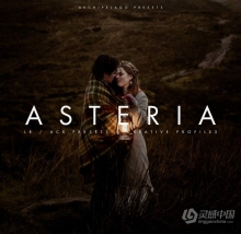 部落群岛 - 喜乐无常电影人像调色Lightroom预设 Archipelago Presets - Asteria