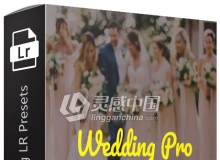 15个高级婚礼Lightroom预设 Premium Wedding Lightroom Presets